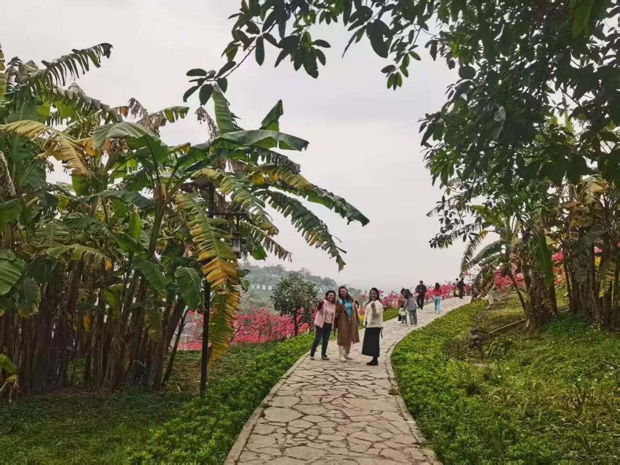 79d070adbcc6b3f60876bb1931f0836f 79d070adbcc6b3f60876bb1931f0836f